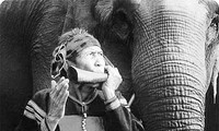 Vua săn voi Ama Kông qua đời ở tuổi 102
