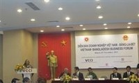 Thủ tướng Bangladesh Sheikh Hasina dự Diễn đàn Doanh nghiệp Việt Nam - Banglades