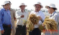 Việt Nam, Campuchia tăng cường hợp tác trên các lĩnh vực