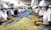 Trao đổi thương mại Việt Nam - Nam Phi tăng