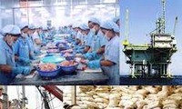 Xuất khẩu - điểm sáng của kinh tế Việt Nam năm 2012
