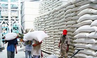 Xuất khẩu gạo năm 2013 phấn đấu đạt 7,5 triệu tấn