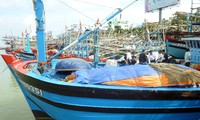 Đà Nẵng: Hơn 50 tàu cá được lắp thiết bị kết nối vệ tinh VMS