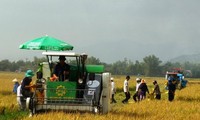 Tạo sự đồng thuận trong xây dựng nông thôn mới ở Bình Định