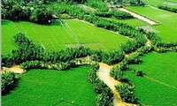 Nghề trồng lúa nước của dân tộc Kinh