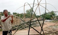 Huy động nguồn tài trợ quốc tế để xây dựng nông thôn mới ở Việt Nam 