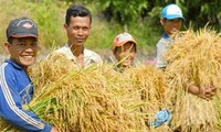 Việt Nam nằm trong tốp đầu các nước đạt mục tiêu xóa đói giảm nghèo