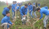 Thành đoàn thành phố Hồ Chí Minh ra quân trồng cây xanh