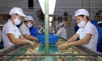 Việt Nam đẩy mạnh xuất khẩu hàng hóa sang châu Âu qua Séc 