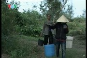 Quảng Trị: Huyện Vĩnh Linh thiếu nước sinh hoạt sau bão