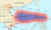 Khẩn trương ứng phó với bão Nari đang tiến vào biển Đông