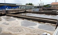 Tăng cường kiểm soát ô nhiễm phát thải thủy ngân tại Việt Nam 