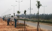 Đồng Hới trồng cây xanh trên đường Đại tướng Võ Nguyên Giáp 