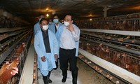 Phó Thủ tướng Hoàng Trung Hải kiểm tra công tác phòng, chống dịch cúm gia cầm tại Lạng Sơn 