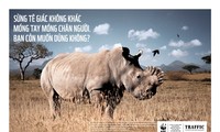 Hội thảo Doanh nhân và chiến dịch tuyên truyền ngăn chặn sử dụng sừng tê giác