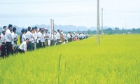 Tổng công ty cổ phần vật tư nông nghiệp Nghệ An, doanh nghiệp tham gia xây dựng nông thôn mới