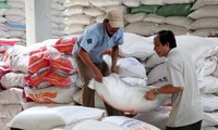 Hội thảo giao thương ngành gạo Việt Nam-Trung Quốc 