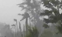 4 người chết, 2 người mất tích do bão Rammasun
