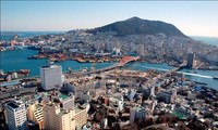 Thành phố Hồ Chí Minh và thành phố Busan - Hàn Quốc thúc đẩy hợp tác toàn diện 