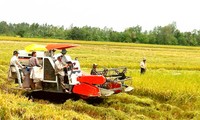 Hàn Quốc chia sẻ công nghệ trong sản xuất nông nghiệp với Việt Nam 