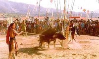 Lễ hội đâm trâu của người Bana 