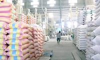 Việt Nam-Nam Phi hợp tác về nông nghiệp và dự trữ lương thực