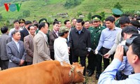 Chủ tịch nước Trương Tấn Sang dự Lễ tổng kết Chương trình bò giống giúp người nghèo biên giới