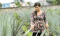 Quỹ hỗ trợ nông dân thành phố Hồ Chí Minh giúp nông dân thoát nghèo