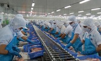 Việt Nam có 23 cơ sở kinh doanh cá tra đủ điều kiện xuất khẩu sang Mỹ