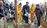 Phó Chủ tịch Quốc hội Nguyễn Thị Kim Ngân trồng cây mai vàng tại khu di tích Yên Tử, tỉnh Quảng Ninh