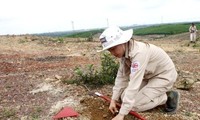 Việt Nam nỗ lực khắc phục hậu quả bom mìn