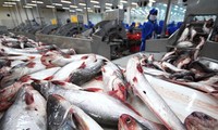 Thượng viện Mỹ thông qua nghị quyết hủy bỏ Chương trình Giám sát cá da trơn đối với Việt Nam 