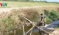 WB phê duyệt hơn 380 triệu USD giúp Việt Nam chống biến đổi khí hậu
