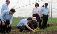 Phó Thủ tướng Vũ Đức Đam kiểm tra công tác đảm bảo an toàn thực phẩm tại Bắc Ninh