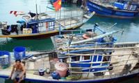 Ngư dân Đà Nẵng bị ảnh hưởng sự cố môi trường biển miền Trung được hỗ trợ gần 1,9 tỷ đồng