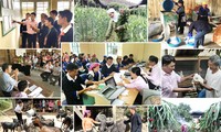 Việt Nam giảm nghèo bền vững, thực hiện Mục tiêu thiên niên kỷ 