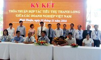 Kích cầu nội địa và mở rộng thị trường xuất khẩu cho thanh long Việt Nam