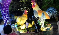 Thành phố Hồ Chí Minh khai mạc chợ hoa Xuân Bình Điền 2017