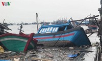 Bão Damrey gây thiệt hại nặng tại các tỉnh Nam Trung bộ 
