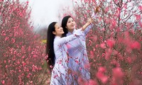 Mùa xuân trong các ca khúc Việt Nam