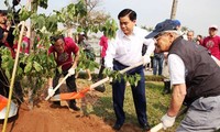 Thêm 500 cây hoa anh đào được trồng tại Công viên Hòa Bình, Hà Nội 