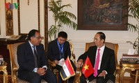 Chủ tịch nước Trần Đại Quang hội kiến với Thủ tướng Ai Cập