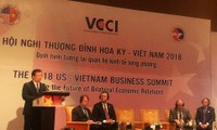 Định hình tương lai quan hệ kinh tế Việt Nam - Hoa Kỳ 2018