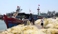 Đà Nẵng tăng cường truy xuất nguồn gốc thủy, hải sản