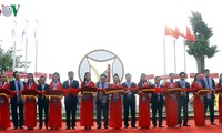 Chuỗi sự kiện chào mừng 45 năm thiết lập quan hệ ngoại giao Việt Nam - Nhật Bản