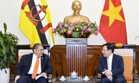 Việt Nam và Brunei thúc đẩy hợp tác song phương trên nhiều lĩnh vực