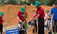 Tăng cường quản lý chống sa mạc hóa và suy thoái đất ở Việt Nam