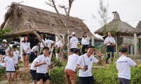 Thanh thiếu niên kiều bào trồng rừng ngập mặn bảo vệ môi trường tại Hội An