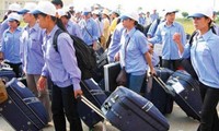 Nghị định 38/2020/NĐ-CP đưa người lao động Việt Nam đi làm việc ở nước ngoài