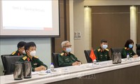 Đối thoại Chính sách Quốc phòng Việt Nam-Singapore lần thứ 11